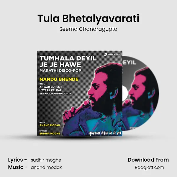 Tula Bhetalyavarati - Seema Chandragupta album cover 