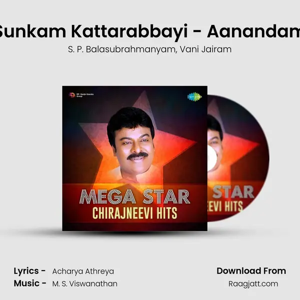 Sunkam Kattarabbayi - Aanandam - S. P. Balasubrahmanyam album cover 