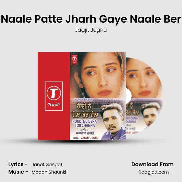 Naale Patte Jharh Gaye Naale Ber mp3 song