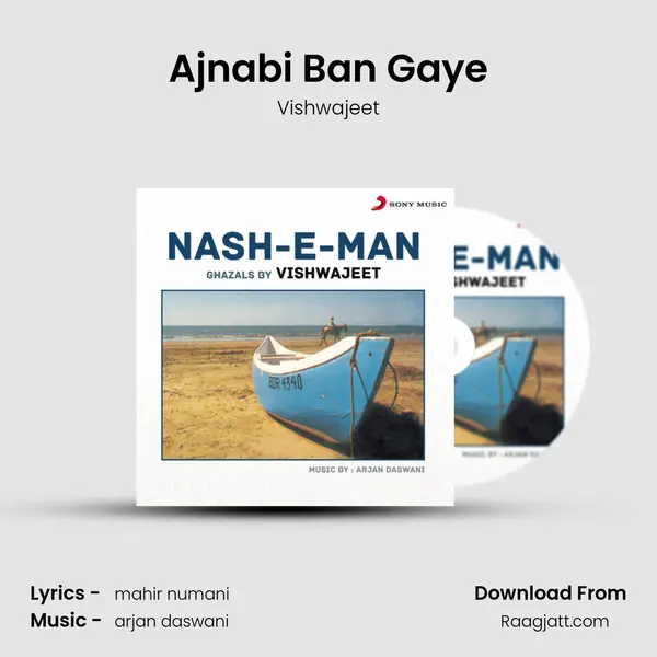 Ajnabi Ban Gaye - Vishwajeet album cover 