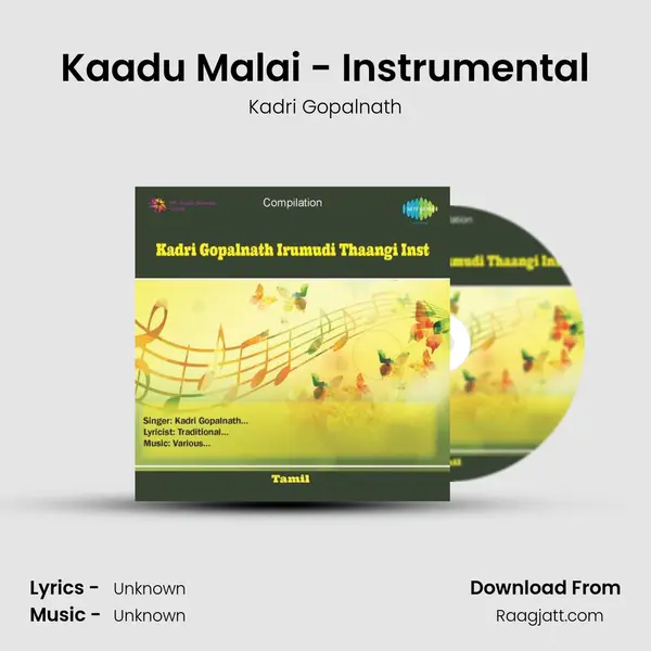 Kaadu Malai - Instrumental mp3 song