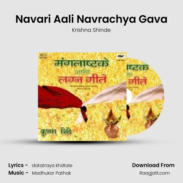 Navari Aali Navrachya Gava - Krishna Shinde album cover 