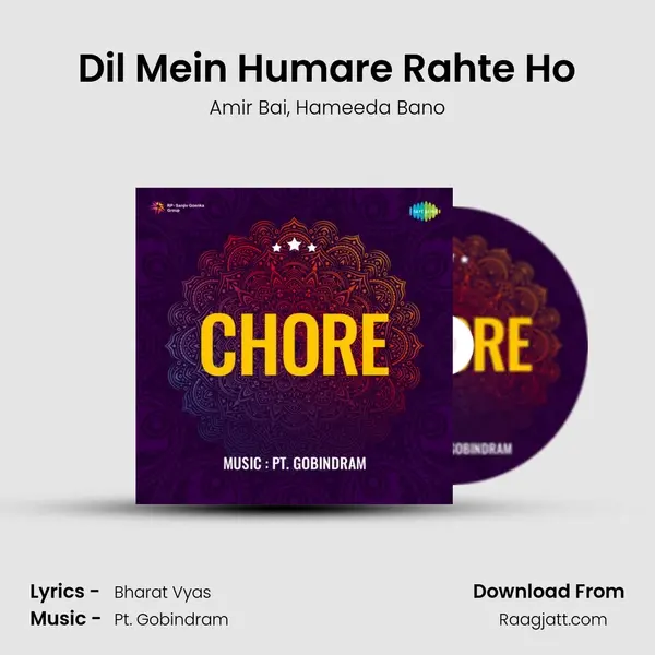 Dil Mein Humare Rahte Ho mp3 song