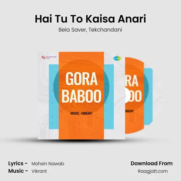 Hai Tu To Kaisa Anari mp3 song