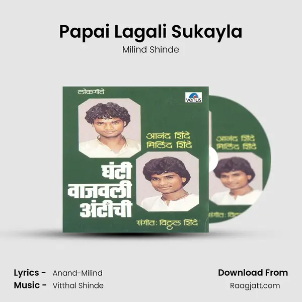 Papai Lagali Sukayla - Milind Shinde album cover 