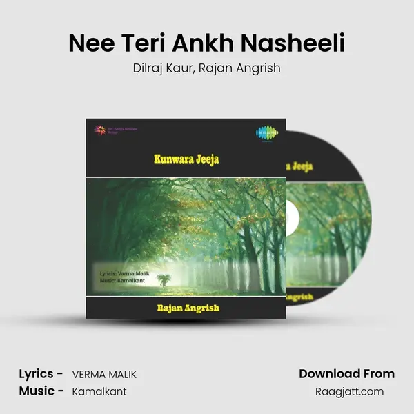 Nee Teri Ankh Nasheeli mp3 song