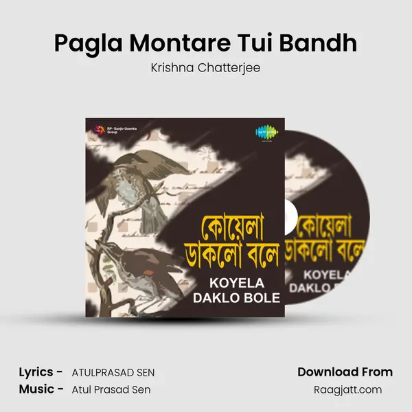 Pagla Montare Tui Bandh mp3 song