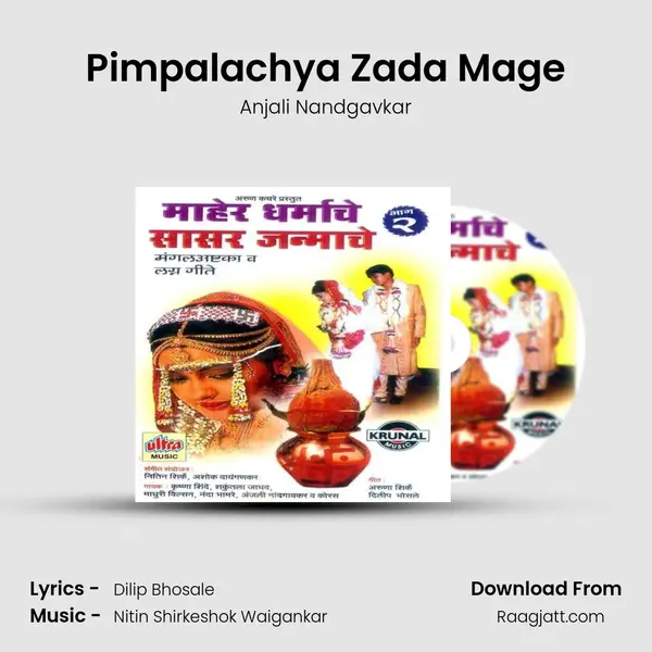 Pimpalachya Zada Mage - Anjali Nandgavkar album cover 