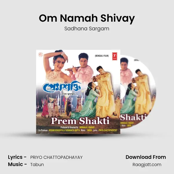 Om Namah Shivay - Sadhana Sargam album cover 