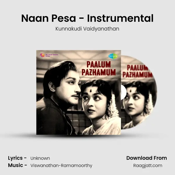 Naan Pesa - Instrumental - Kunnakudi Vaidyanathan album cover 