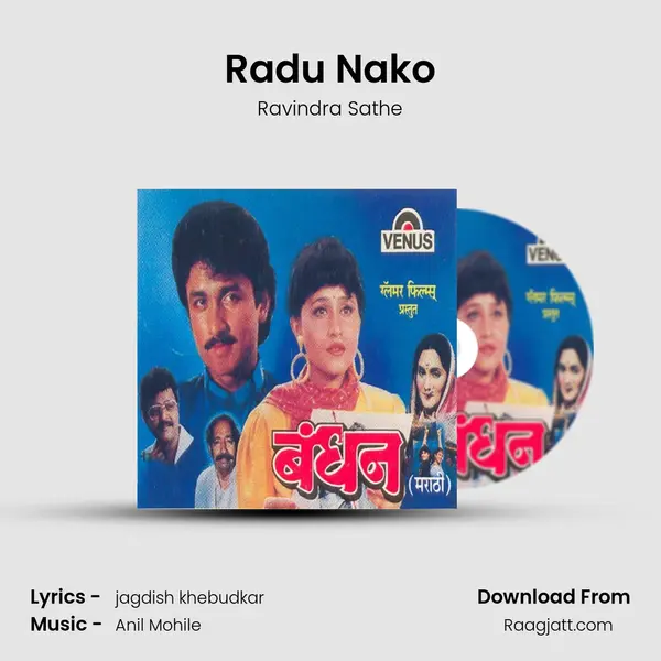 Radu Nako - Ravindra Sathe album cover 