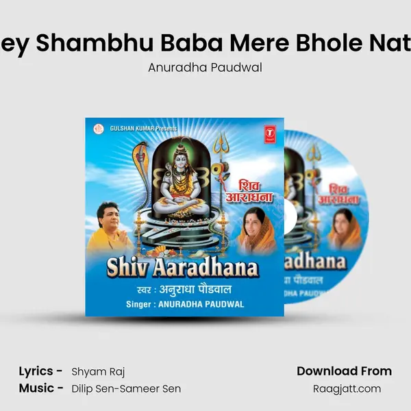 Hey Shambhu Baba Mere Bhole Nath - Anuradha Paudwal album cover 