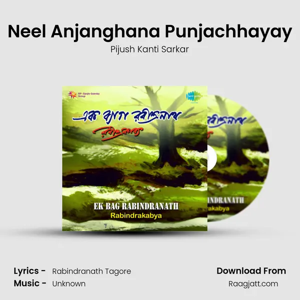 Neel Anjanghana Punjachhayay - Pijush Kanti Sarkar album cover 