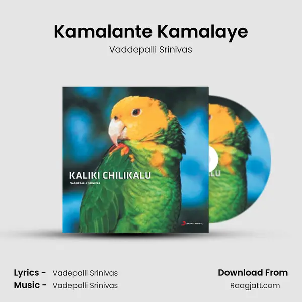 Kamalante Kamalaye mp3 song