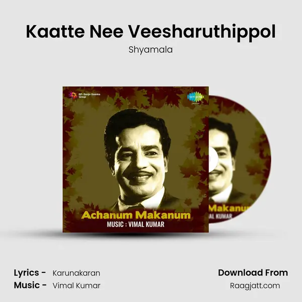 Kaatte Nee Veesharuthippol - Shyamala album cover 