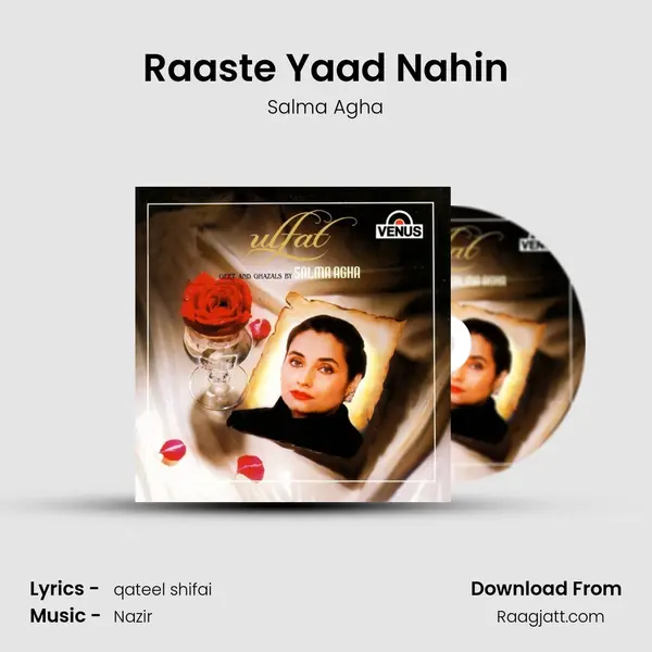 Raaste Yaad Nahin - Salma Agha album cover 