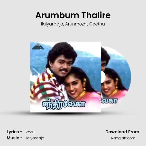 Arumbum Thalire mp3 song