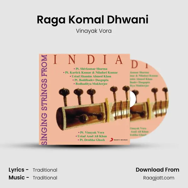 Raga Komal Dhwani (Drut Ektal) - Vinayak Vora album cover 