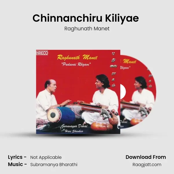 Chinnanchiru Kiliyae (Veena) mp3 song