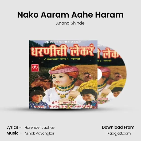 Nako Aaram Aahe Haram - Anand Shinde album cover 