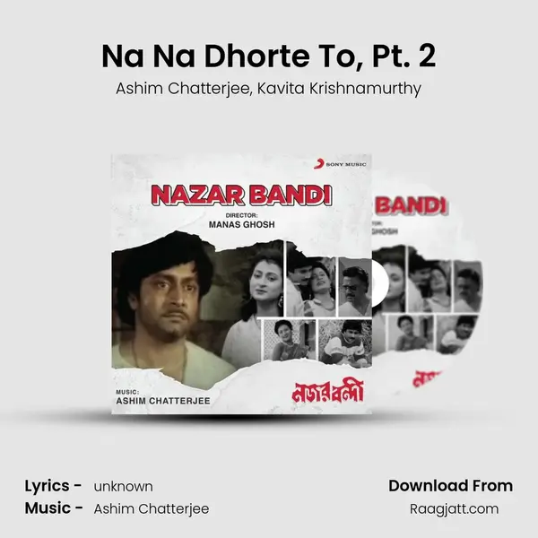 Na Na Dhorte To, Pt. 2 - Ashim Chatterjee album cover 