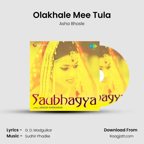 Olakhale Mee Tula - Asha Bhosle album cover 