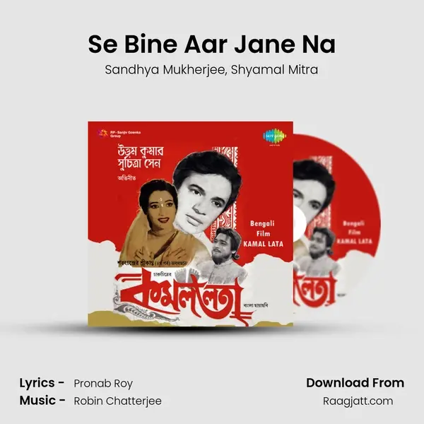 Se Bine Aar Jane Na mp3 song