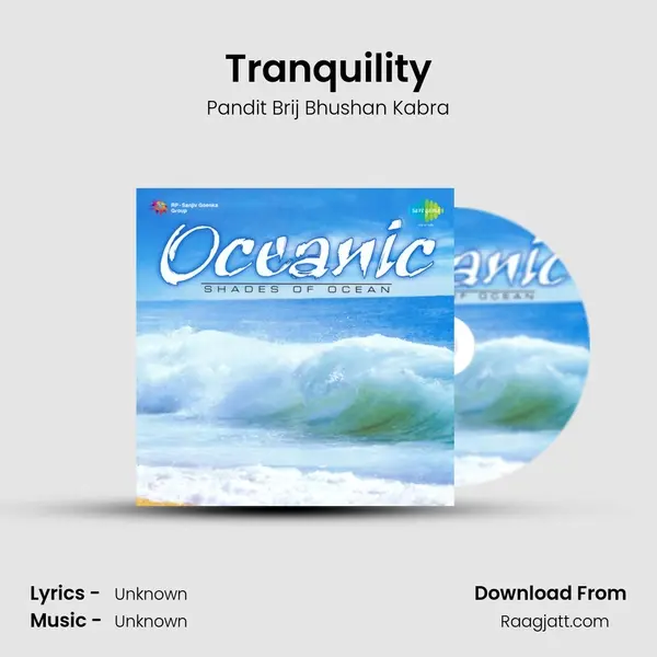 Tranquility - Pandit Brij Bhushan Kabra album cover 