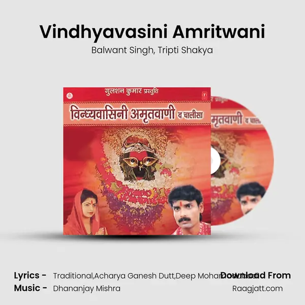 Vindhyavasini Amritwani - Balwant Singh album cover 