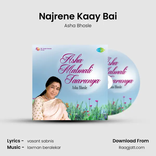 Najrene Kaay Bai - Asha Bhosle album cover 