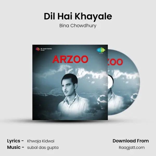 Dil Hai Khayale - Bina Chowdhury album cover 