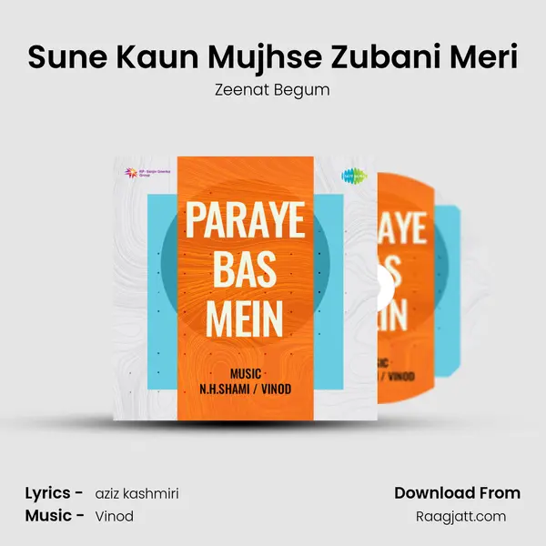 Sune Kaun Mujhse Zubani Meri mp3 song