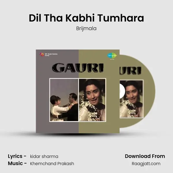 Dil Tha Kabhi Tumhara - Brijmala album cover 