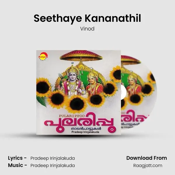 Seethaye Kananathil - Vinod album cover 