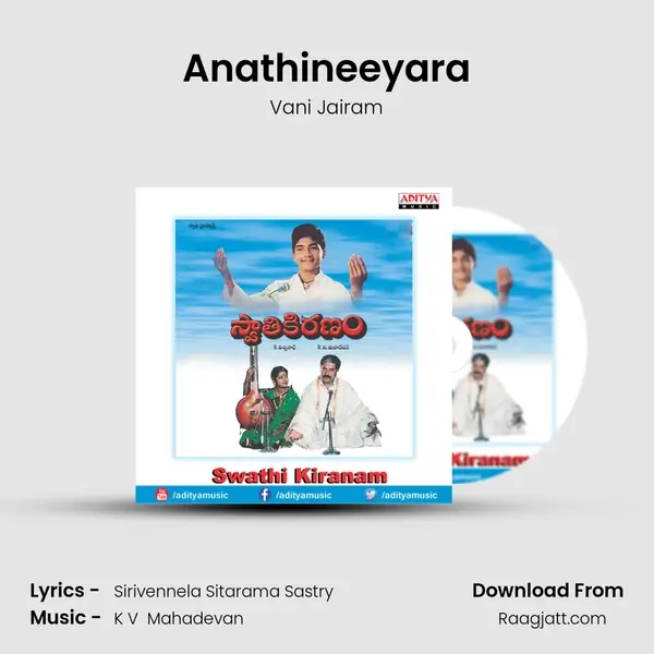 Anathineeyara - Vani Jairam album cover 