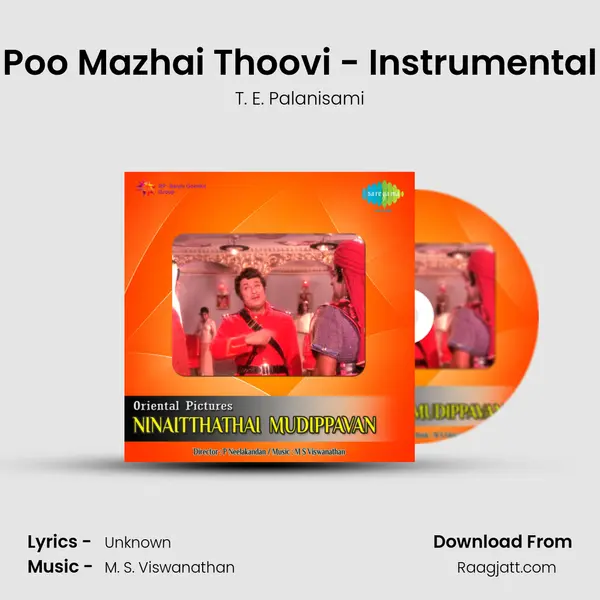 Poo Mazhai Thoovi - Instrumental - T. E. Palanisami album cover 