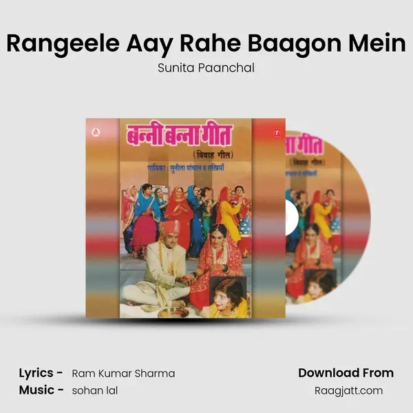 Rangeele Aay Rahe Baagon Mein - Sunita Paanchal album cover 