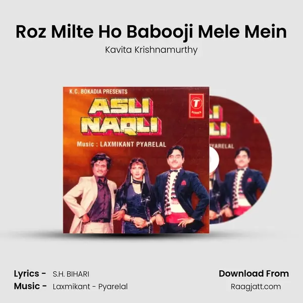 Roz Milte Ho Babooji Mele Mein - Kavita Krishnamurthy album cover 