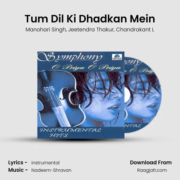 Tum Dil Ki Dhadkan Mein mp3 song