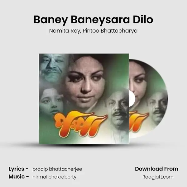 Baney Baneysara Dilo - Namita Roy album cover 