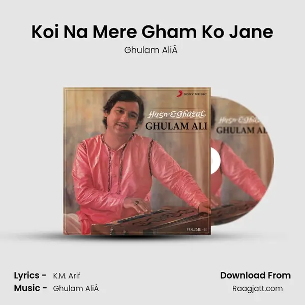 Koi Na Mere Gham Ko Jane - Ghulam AliÂ  album cover 