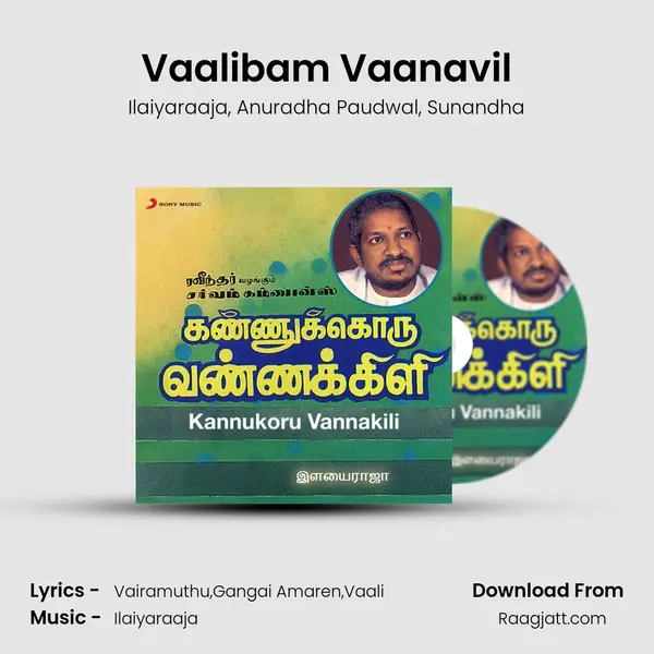 Vaalibam Vaanavil mp3 song