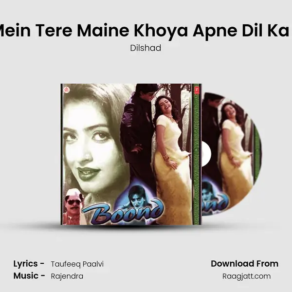 Pyar Mein Tere Maine Khoya Apne Dil Ka Chain - Dilshad album cover 