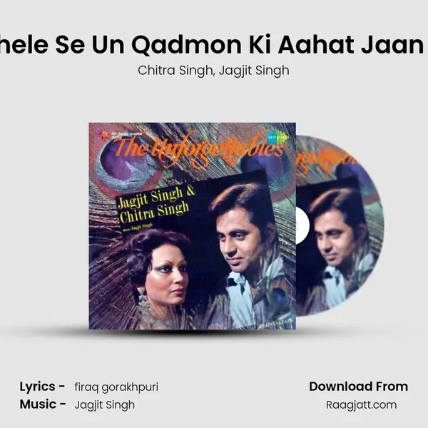 Bahut Pahele Se Un Qadmon Ki Aahat Jaan Lete Hain - Chitra Singh album cover 