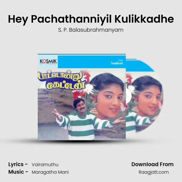 Hey Pachathanniyil Kulikkadhe mp3 song