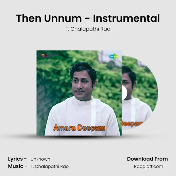 Then Unnum - Instrumental - T. Chalapathi Rao album cover 