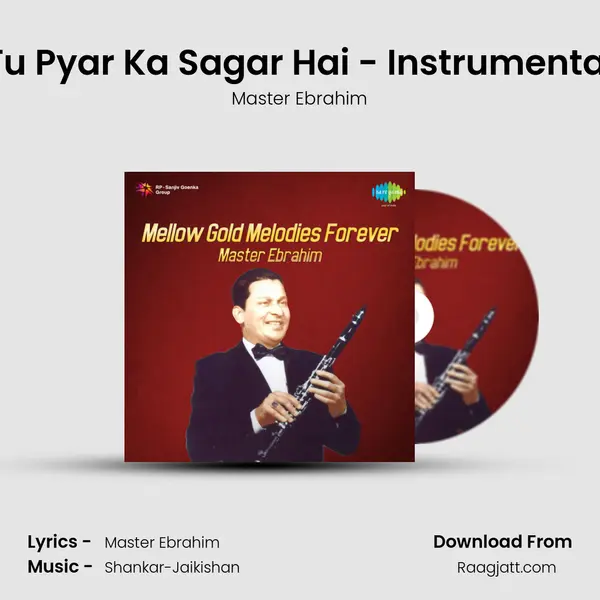 Tu Pyar Ka Sagar Hai - Instrumental mp3 song