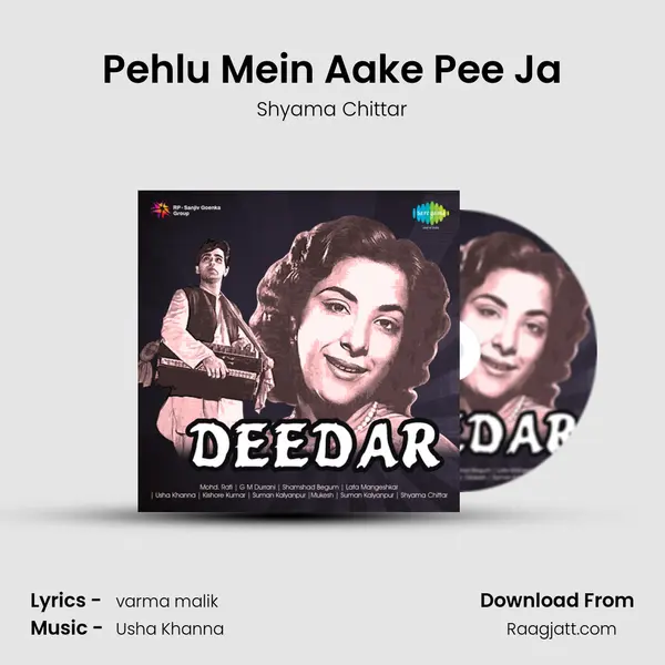 Pehlu Mein Aake Pee Ja - Shyama Chittar album cover 