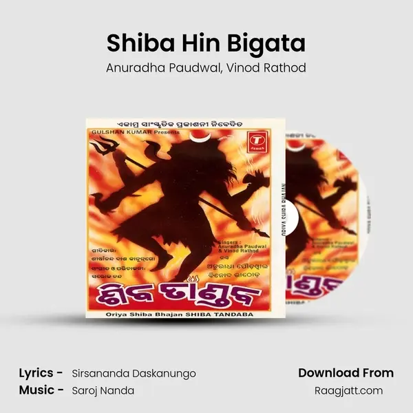 Shiba Hin Bigata mp3 song