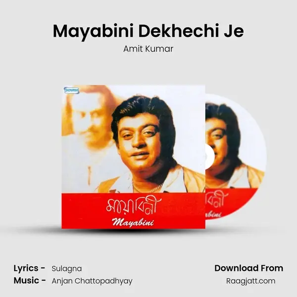 Mayabini Dekhechi Je mp3 song